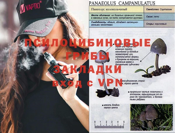 трава Абдулино